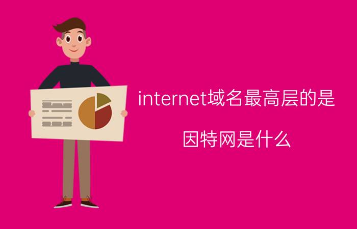 internet域名最高层的是 因特网是什么？